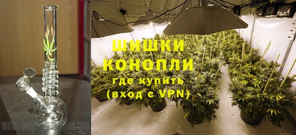 ГАЛЛЮЦИНОГЕННЫЕ ГРИБЫ Верея