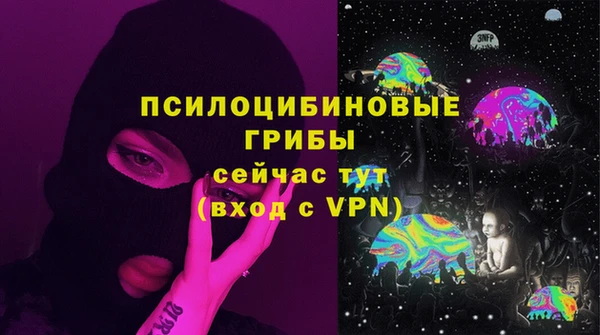 PSILOCYBIN Белокуриха