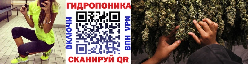 Бошки Шишки индика  Весьегонск 
